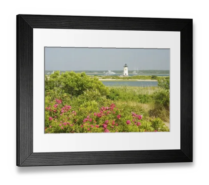 Framed Print : North America Framed Print : North America