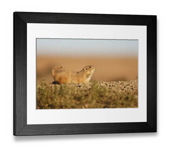 Framed Print : Wichita Mountains Framed Print : Wichita Mountains