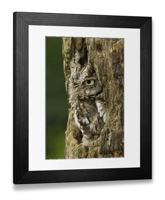 Framed Print : USA, North America, Michigan Framed Print : USA, North America, Michigan
