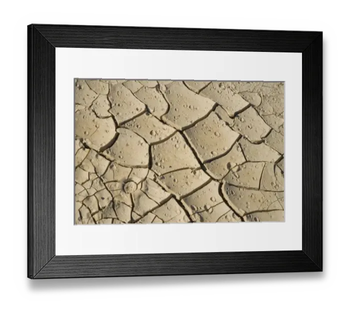 Framed Print : USA, North America, California