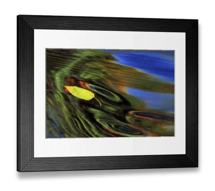 Framed Print : USA, Michigan, Birch leaf in river with autumn reflections Framed Print : USA, Michigan, Birch leaf in river with autumn reflections