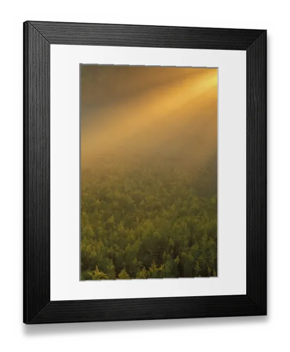 Framed Print : USA, Michigan Framed Print : USA, Michigan