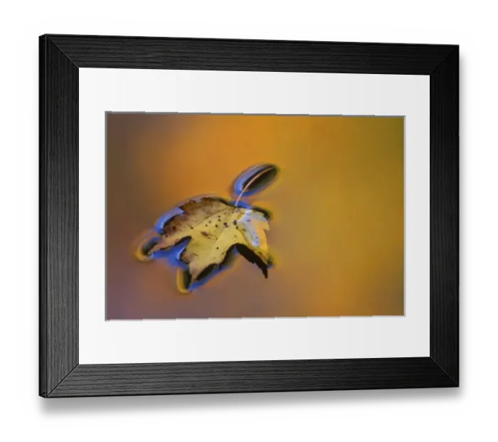 Framed Print : USA, Michigan Framed Print : USA, Michigan