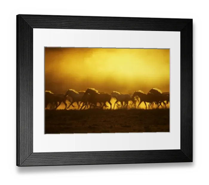 Framed Print : USA, North America, Oregon Framed Print : USA, North America, Oregon