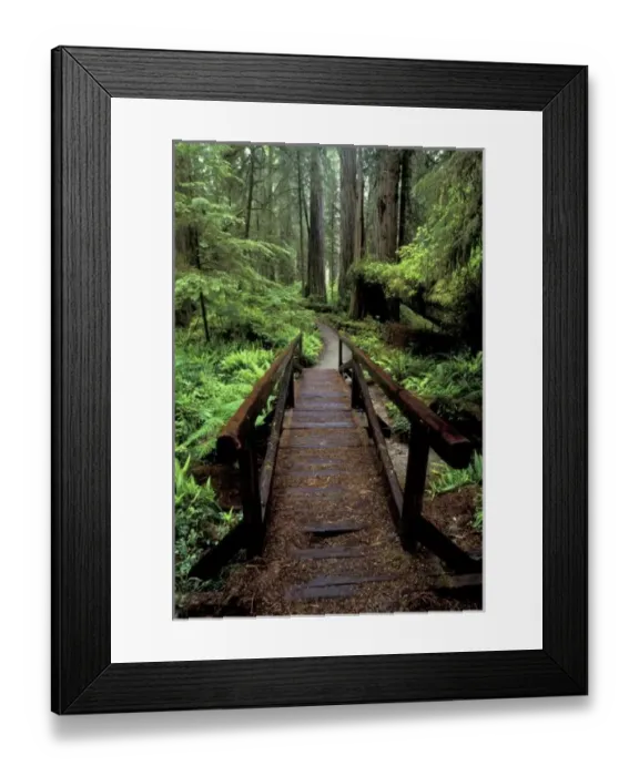 Framed Print : NA, USA, California, Jedidiah Smith Redwoods State Park, Bridge over stream and redwoods Framed Print : NA, USA, California, Jedidiah Smith Redwoods State Park, Bridge over stream and redwoods
