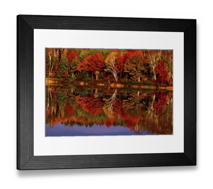 Framed Print : United States, Michigan, Upper Peninsula. Fall color reflected in Thornton Lake