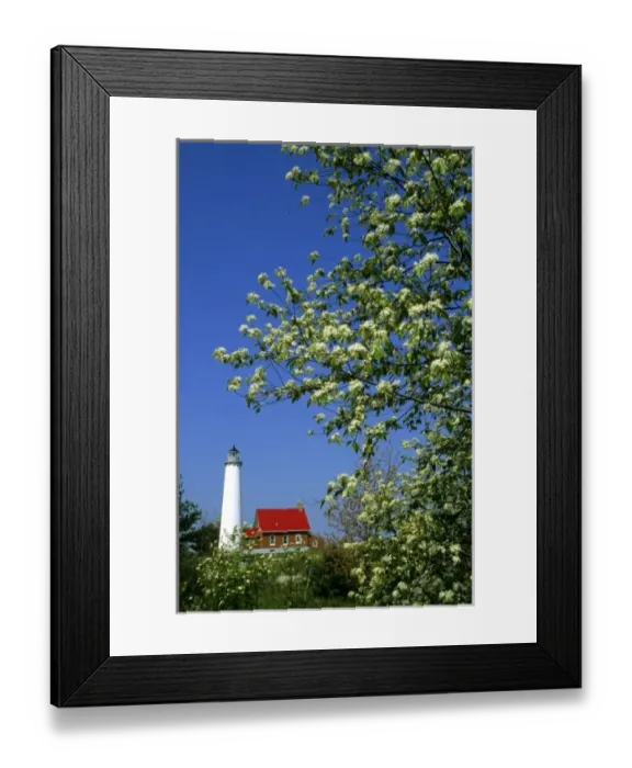 Framed Print : USA, Michigan, East Tawas. Tawas Lighthouse with wild cherry trees in bloom Framed Print : USA, Michigan, East Tawas. Tawas Lighthouse with wild cherry trees in bloom
