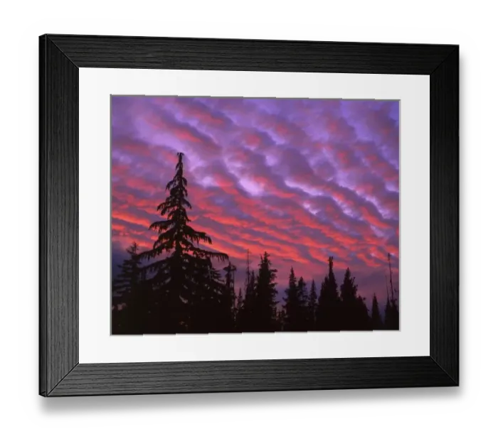 Framed Print : USA, Oregon, Three Sisters Wilderness, Vivid colors of sunset painting clouds over forest Framed Print : USA, Oregon, Three Sisters Wilderness, Vivid colors of sunset painting clouds over forest