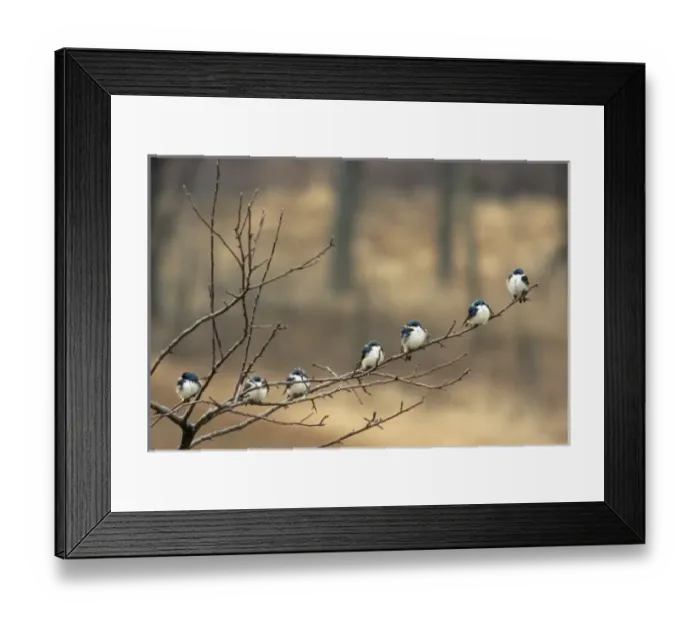 Framed Print : USA, North America, Michigan Framed Print : USA, North America, Michigan