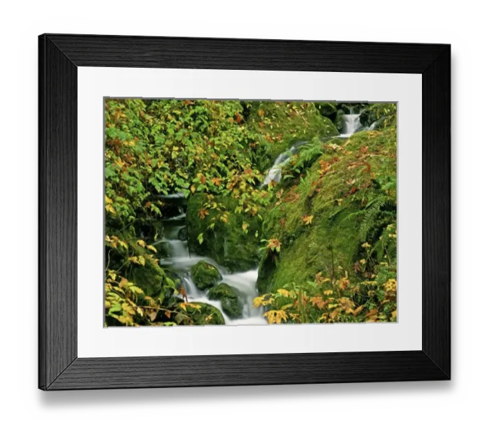 Framed Print : USA, North America, Oregon Framed Print : USA, North America, Oregon
