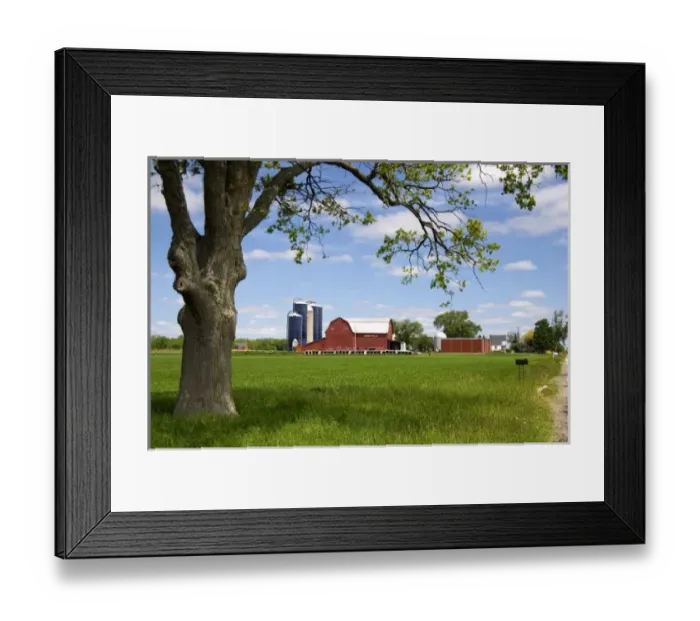 Framed Print : Farm surrounded by green unripe wheat at St. Louis, Michigan