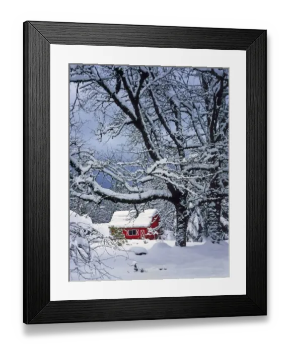Framed Print : USA, Oregon, Clackamas County. Fresh snow covers landscape and red barn Framed Print : USA, Oregon, Clackamas County. Fresh snow covers landscape and red barn