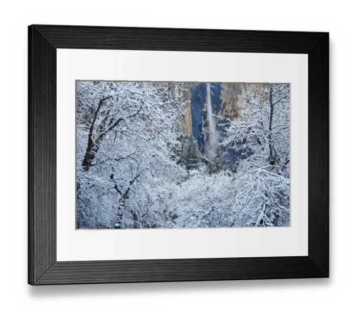 Framed Print : Fresh snowfall in the trees below Bridalveil Falls in Yosemite National Park, California