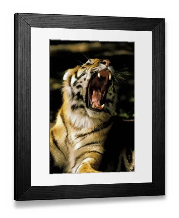 Framed Print : USA, Michigan Framed Print : USA, Michigan
