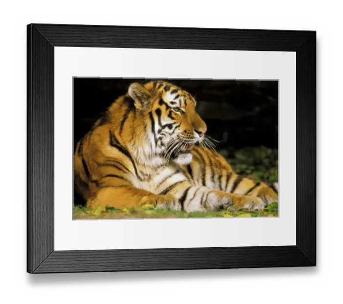 Framed Print : USA, North America, Michigan Framed Print : USA, North America, Michigan