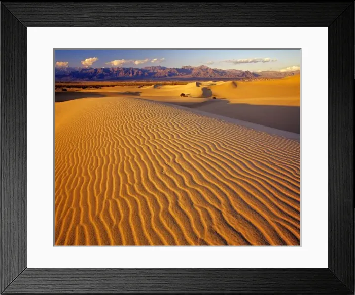 Framed Print : Mesquite Flat Sand dunes in Death Valley National Park in California Framed Print : Mesquite Flat Sand dunes in Death Valley National Park in California