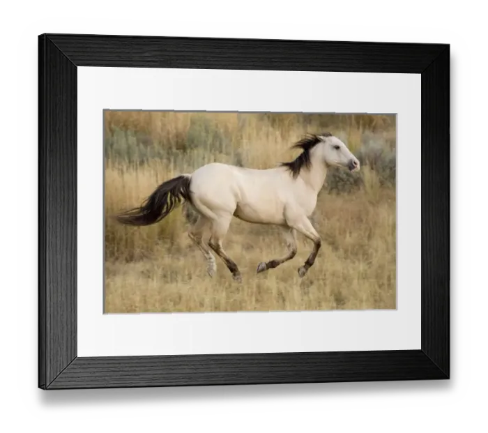 Framed Print : USA, North America, Oregon Framed Print : USA, North America, Oregon