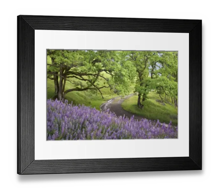 Framed Print : USA, North America, California Framed Print : USA, North America, California