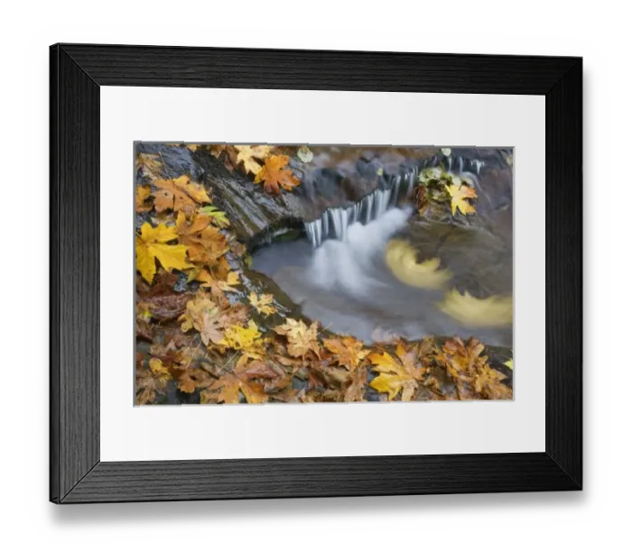 Framed Print : USA, North America, Oregon