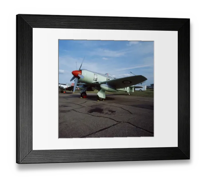 Framed Print : Hawker Sea Fury at CAF, Minnesota Wing, at the Air Show in Fleming Field, St, Paul Framed Print : Hawker Sea Fury at CAF, Minnesota Wing, at the Air Show in Fleming Field, St, Paul