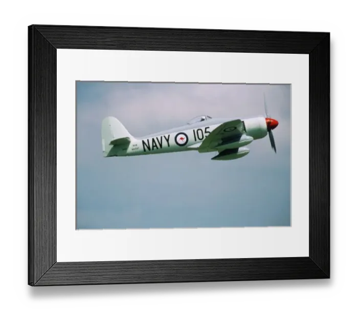 Framed Print : Hawker Sea Fury at the CAF, Minnesota Wing, Air Show Framed Print : Hawker Sea Fury at the CAF, Minnesota Wing, Air Show