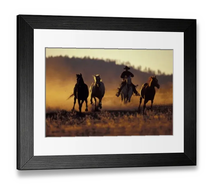 Framed Print : NA, USA, Oregon, Seneca, Ponderosa Ranch, Cowboy and horses running PR (MR) Framed Print : NA, USA, Oregon, Seneca, Ponderosa Ranch, Cowboy and horses running PR (MR)