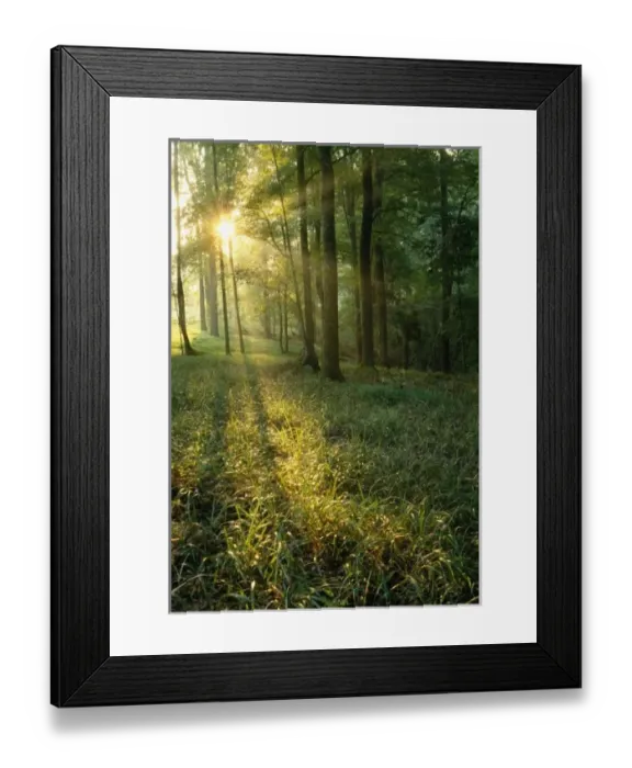 Framed Print : USA, North America, Kentucky Framed Print : USA, North America, Kentucky