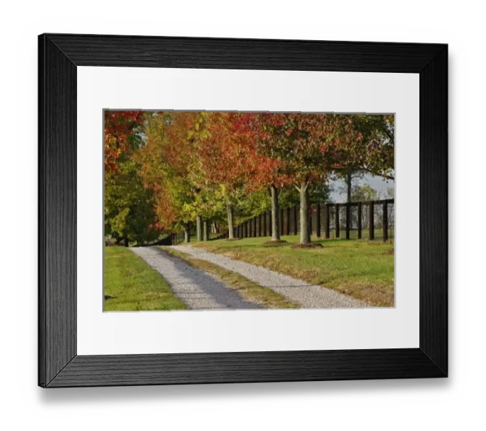 Framed Print : USA, North America, Kentucky Framed Print : USA, North America, Kentucky