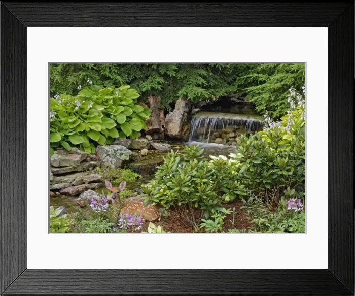 Framed Print : USA, North America, Kentucky Framed Print : USA, North America, Kentucky