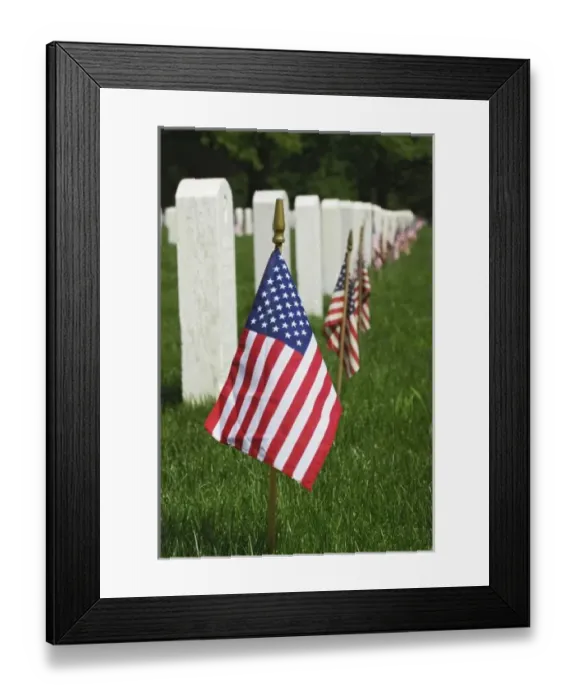 Framed Print : American flags on tombs of American Veterans on Memorial Day, Zachary Taylor National Cemetery