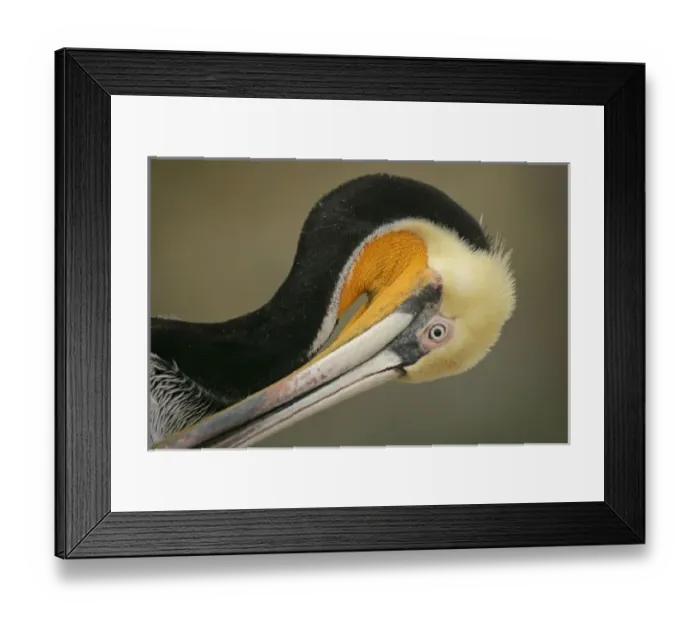 Framed Print : USA, California Framed Print : USA, California