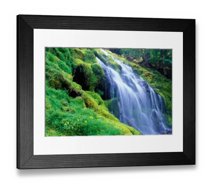 Framed Print : Proxy Falls in the central Oregon Cascades Framed Print : Proxy Falls in the central Oregon Cascades