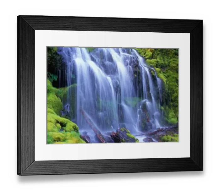 Framed Print : Spring-time fresh water flowing over moss carpeted rocks Proxy Falls in Oregon s Framed Print : Spring-time fresh water flowing over moss carpeted rocks Proxy Falls in Oregon s