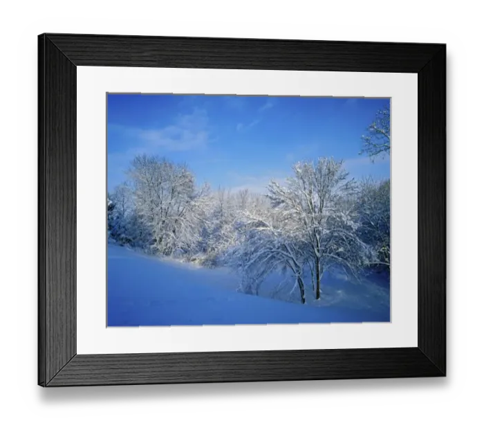 Framed Print : Record snow in Louisville, Kentucky Framed Print : Record snow in Louisville, Kentucky