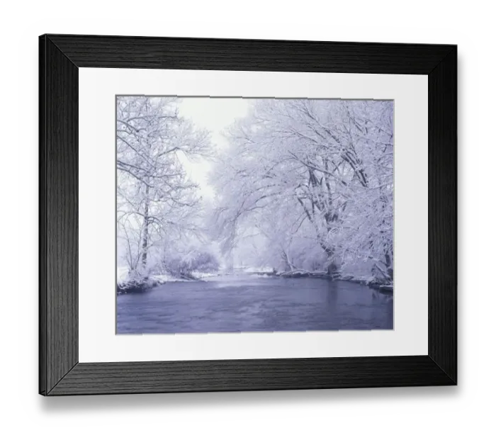 Framed Print : USA, Kentucky, Louisville. Snow covered branches overhanging Beargrass Creek Framed Print : USA, Kentucky, Louisville. Snow covered branches overhanging Beargrass Creek