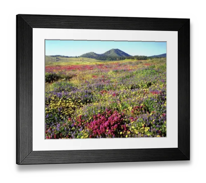 Framed Print : USA, California Framed Print : USA, California