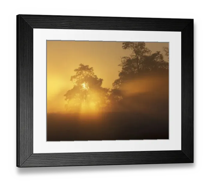 Framed Print : USA, Kentucky