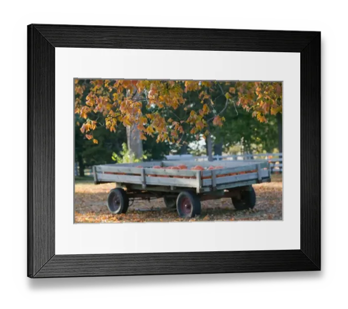 Framed Print : USA, IOWA, Madison County, Winterset: Howells Farm, Pumpkin Wagon  /  Autumn