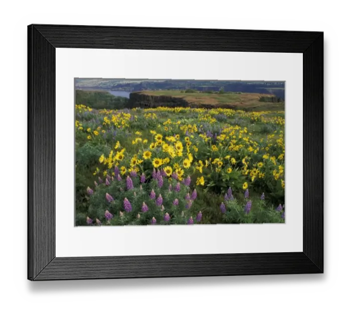 Framed Print : North America Framed Print : North America