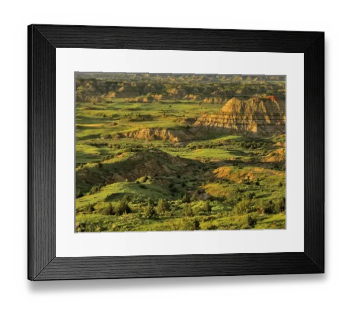 Framed Print : Painted Canyon Framed Print : Painted Canyon