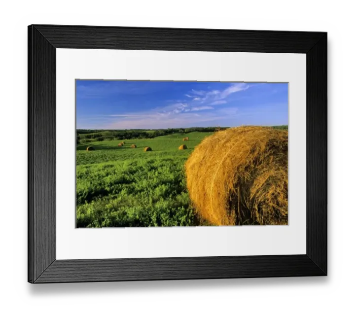 Framed Print : Hay Bales near Framed Print : Hay Bales near