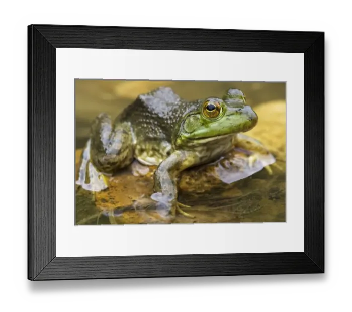 Framed Print : USA, North America, Arkansas Framed Print : USA, North America, Arkansas