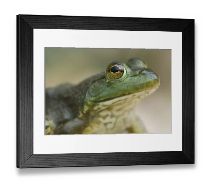 Framed Print : USA, North America, Arkansas Framed Print : USA, North America, Arkansas