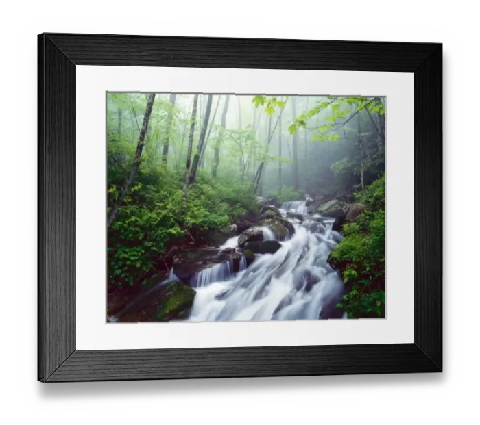 Framed Print : Linn Cove Creek cascading through foggy forest, Blue Ridge Parkway near Boone, N Framed Print : Linn Cove Creek cascading through foggy forest, Blue Ridge Parkway near Boone, N