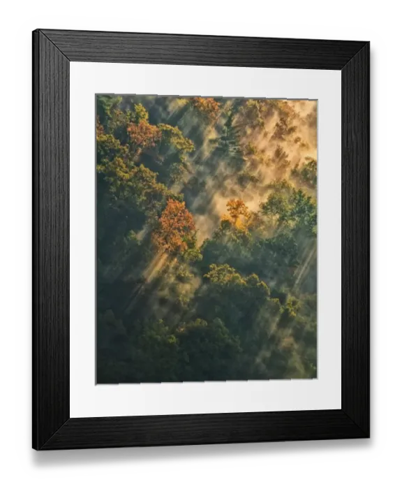 Framed Print : USA, New York, Letchworth State Park. Sunrise lights fog-covered forest. Credit as