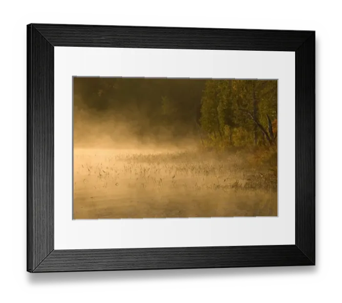 Framed Print : USA, North America, New York