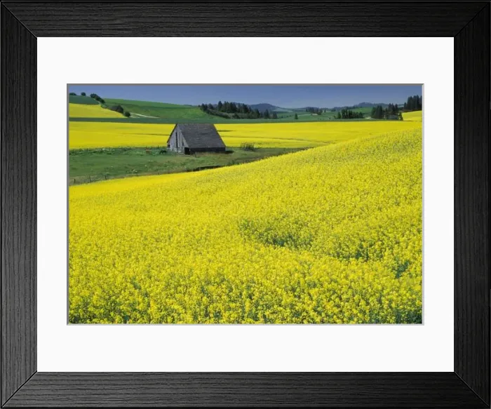 Framed Print : NA, USA, Idaho Framed Print : NA, USA, Idaho
