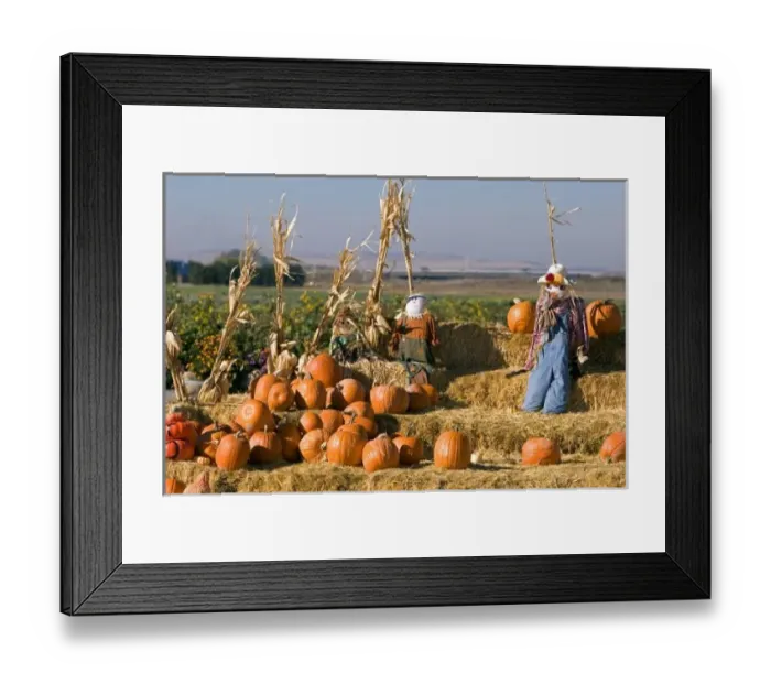 Framed Print : Pumpkin display with hay bales and scarecrows at a roadside fruit stand in Fruitland, Idaho Framed Print : Pumpkin display with hay bales and scarecrows at a roadside fruit stand in Fruitland, Idaho