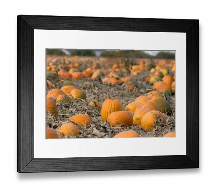Framed Print : USA, North America, Idaho Framed Print : USA, North America, Idaho