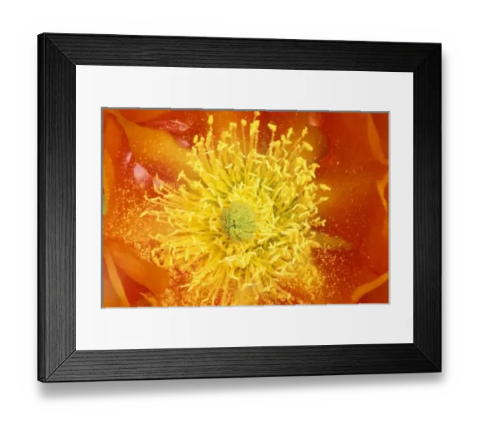 Framed Print : N. A. USA, Arizona Framed Print : N. A. USA, Arizona